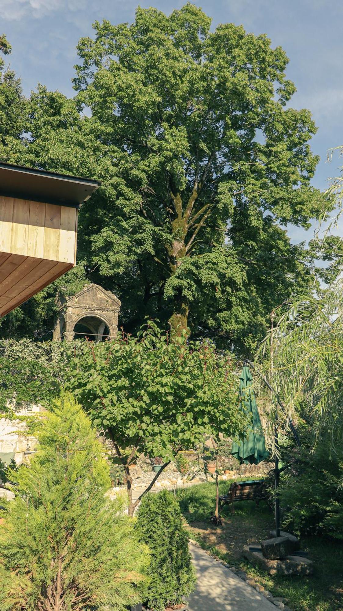 Garden Rooms In Κουτάισι Εξωτερικό φωτογραφία